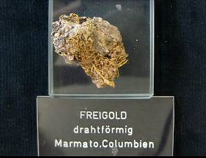 800px-Freigold_(drahtförmig)_-_Marmato,_Columbien, Mineralogischen Museum Bonn