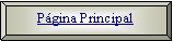 Bisel: Pgina Principal