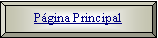 Bisel: Pgina Principal